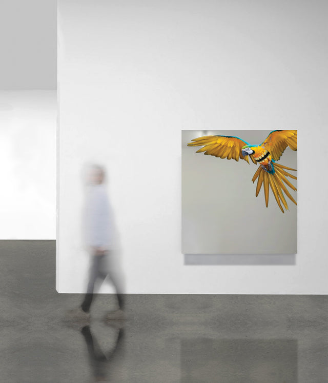 Pappaboom | Pep Marchegiani