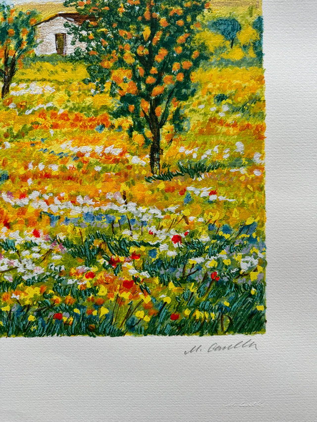 Fioritura dei campi  | Michele Cascella