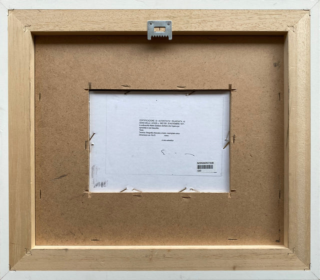 Polaroid II | Mario Schifano