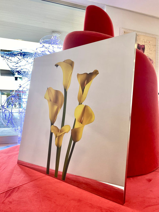 Famiglia | Pep Marchegiani