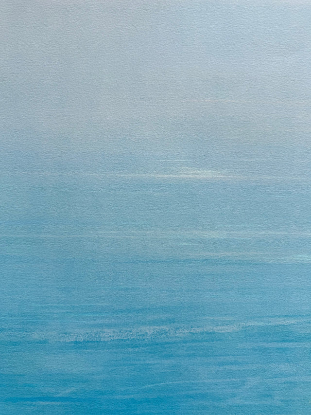 Le linee del mare  | Piero Guccione