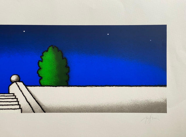 Salita Notturna | Tino Stefanoni