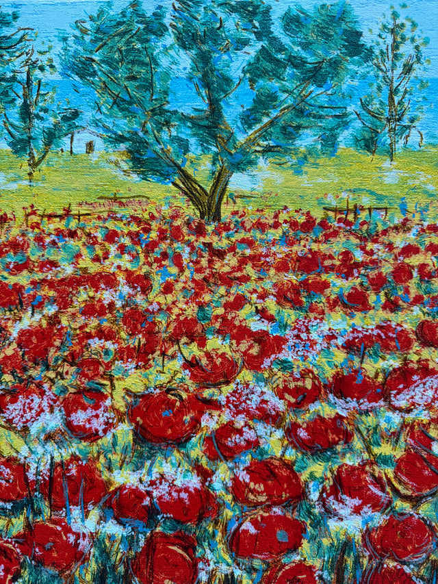 Campo papaveri  | Michele Cascella