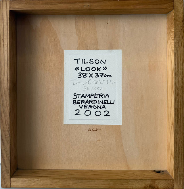 Look | Joe Tilson