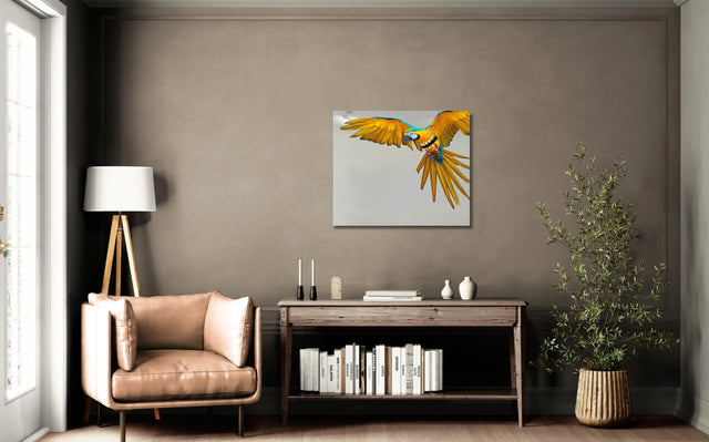 Pappaboom | Pep Marchegiani