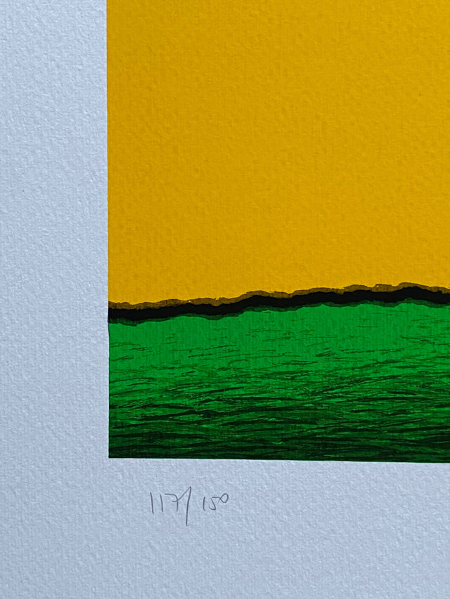 Casolare giallo | Tino Stefanoni