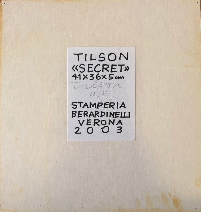Secret | Joe Tilson