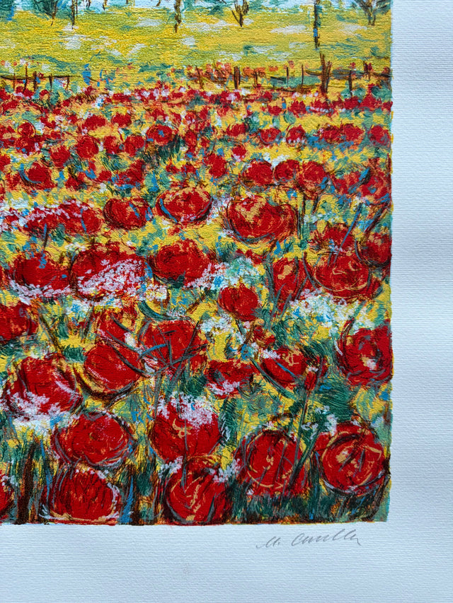 Campo papaveri  | Michele Cascella