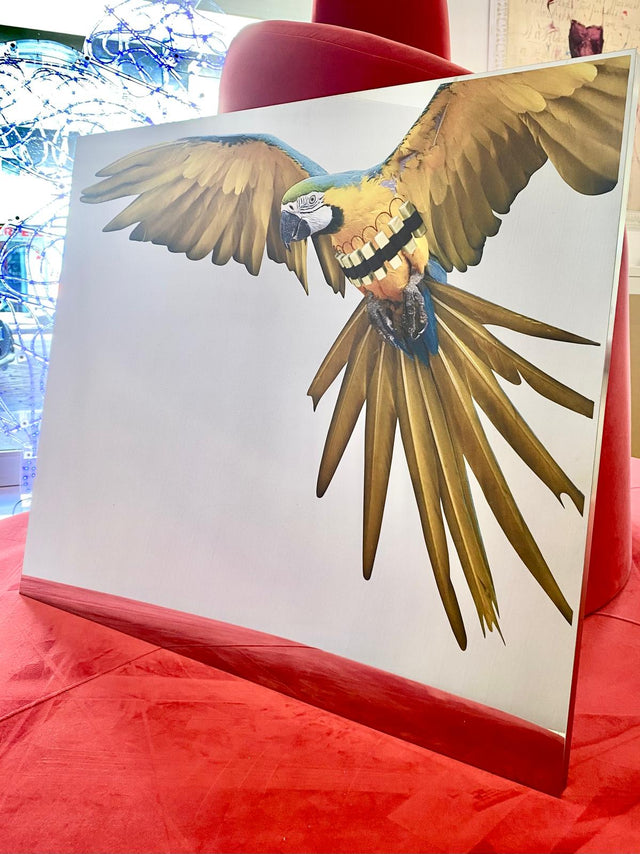 Pappaboom | Pep Marchegiani