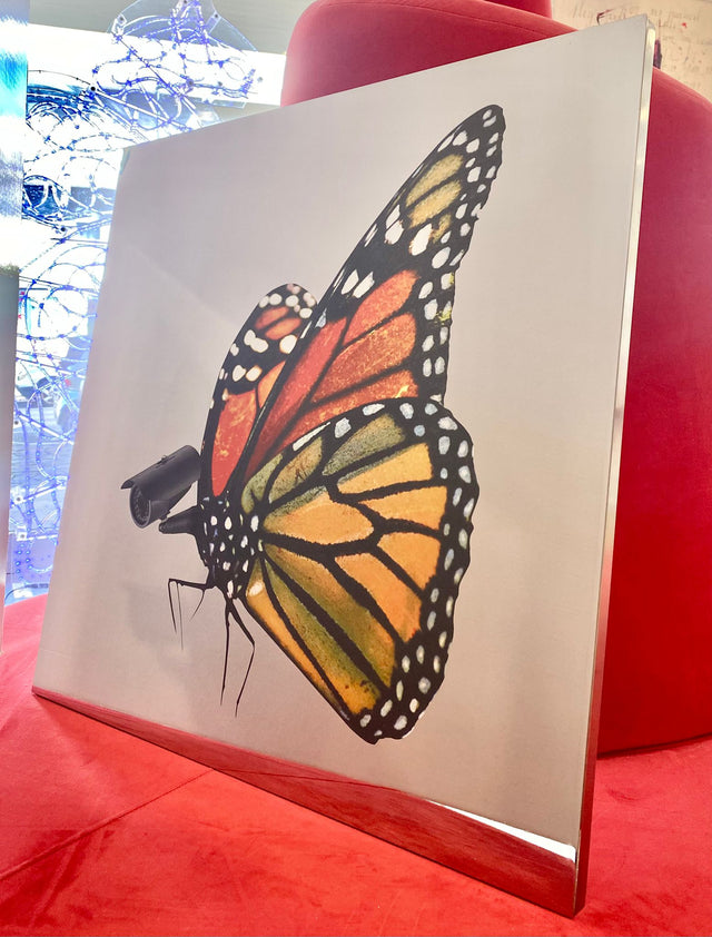 Butter | Pep Marchegiani