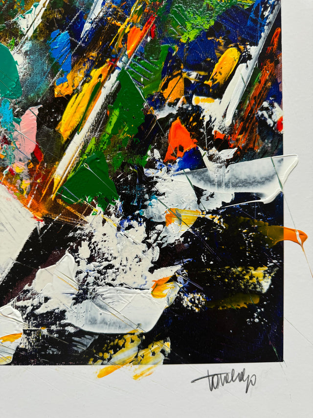 Alinghi Cup | Francesco Toraldo