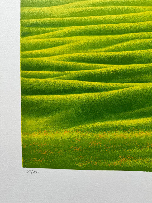 Green III | Daniele Fissore