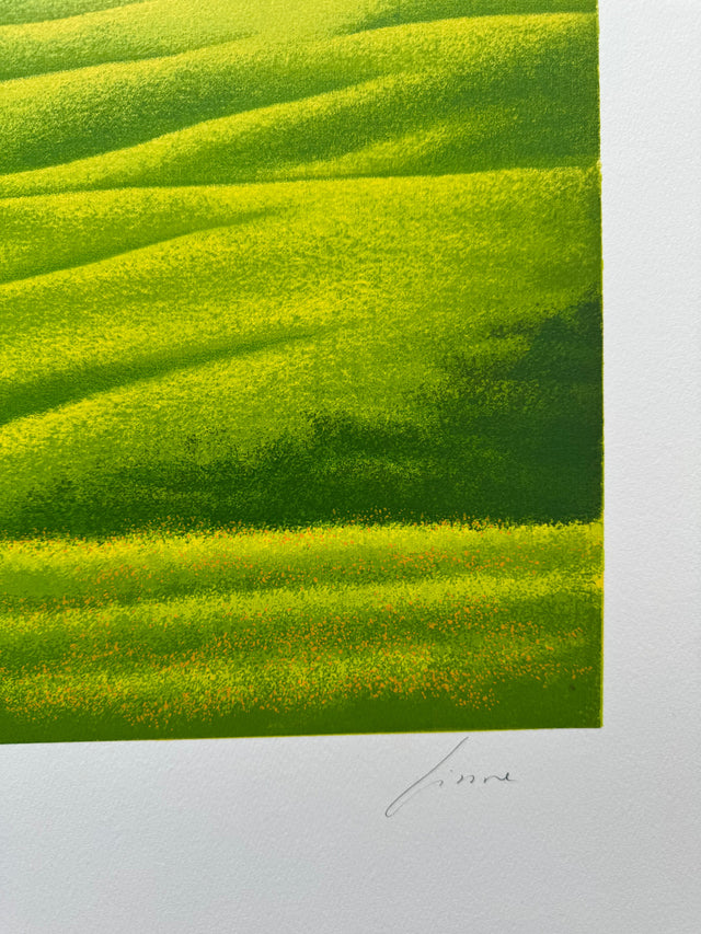 Green III | Daniele Fissore