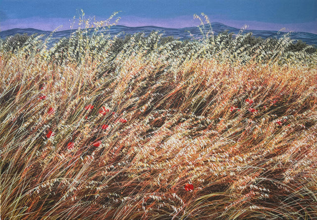 Campo di grano al tramonto | Franco Azzinari