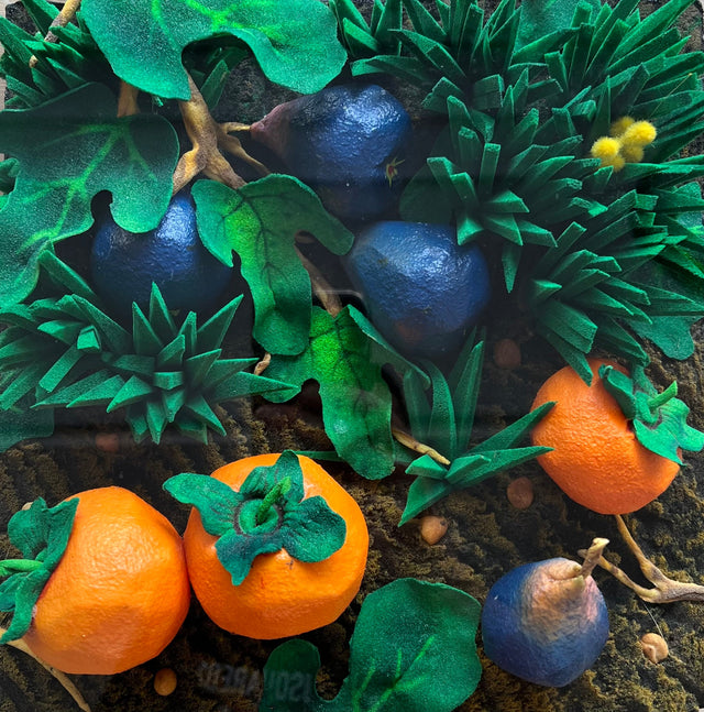 Figs and persimmons | Peter Gilardi