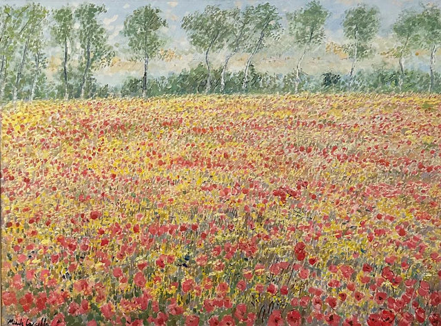 A meadow of spring flowers and poppies